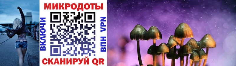 Псилоцибиновые грибы Psilocybine cubensis где можно купить Хилок